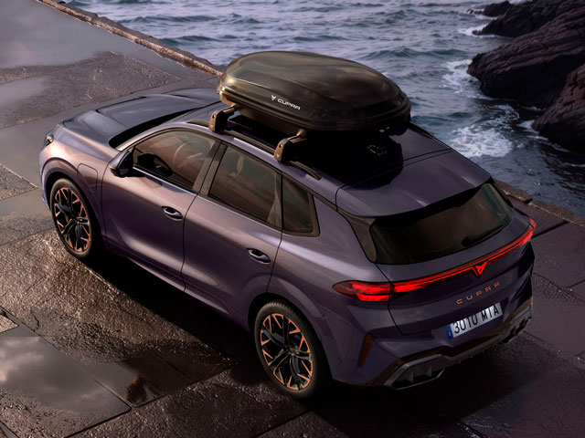 CUPRA roof box
