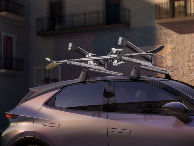 Extendable ski and snowboard rack