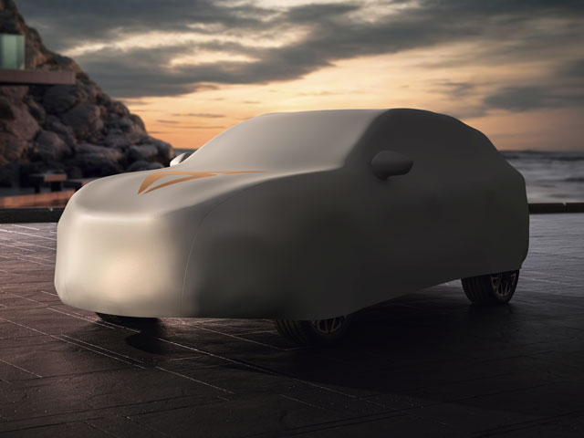CUPRA car cover